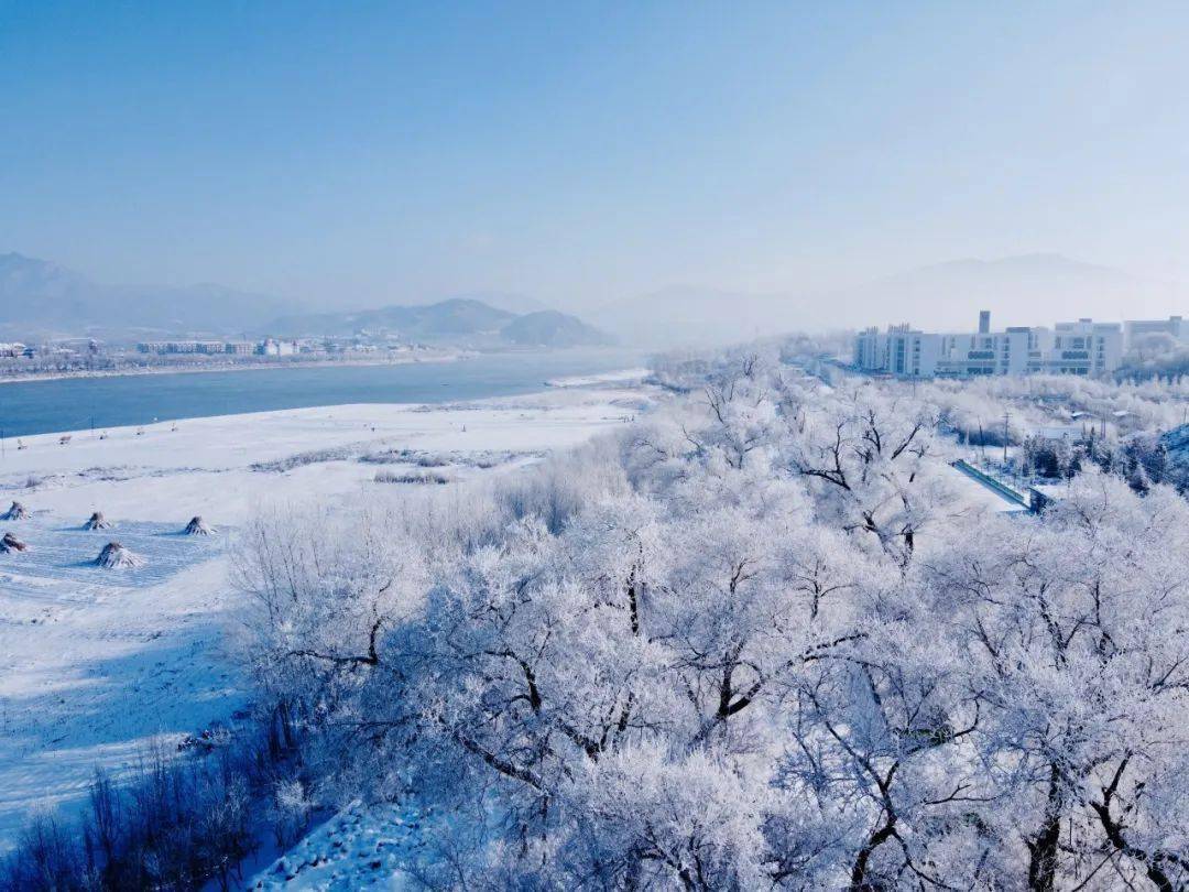 外交部发言人点赞吉林，东北振兴的璀璨名片