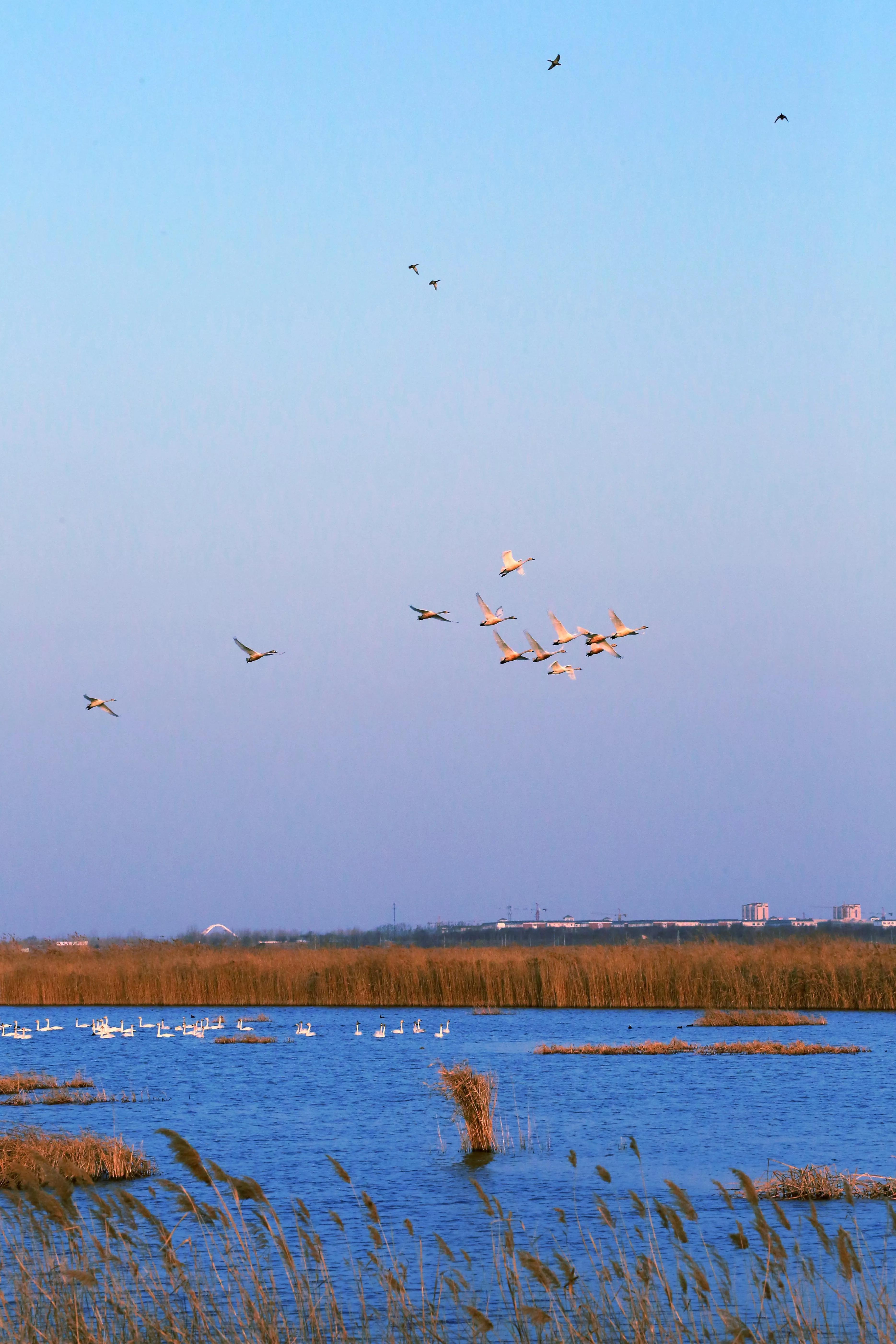 衡水小巷深处,探寻隐藏的特色小店