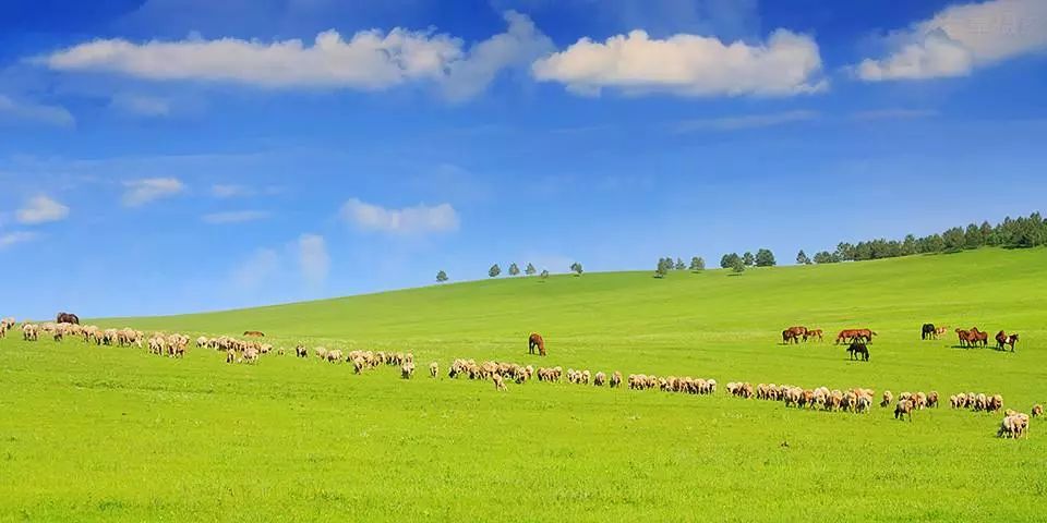 呼伦贝尔,自然美景探索之旅