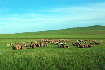 呼伦贝尔,自然美景探索之旅