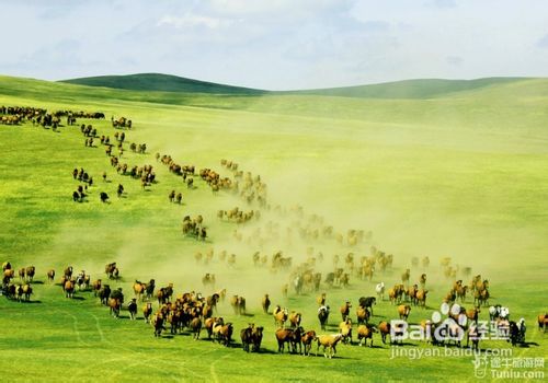 呼伦贝尔,自然美景探索之旅